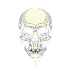 White Glossy Skull with Dripping Effect, Transparent Background, 3D Realism Graphic