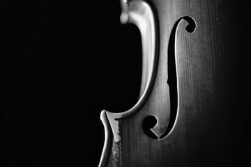 Stylish violin on dark background.