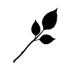 Hazel twig in clean black line botanical style Line Art Vector illustration