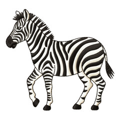 Obraz premium Striped equine walking black background zebra animal