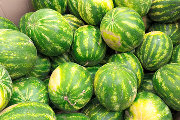 Pile of ripe green striped watermelons for sale at a farmer's market