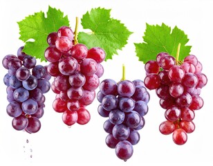 Fototapeta premium Red and purple grapes isolated on white