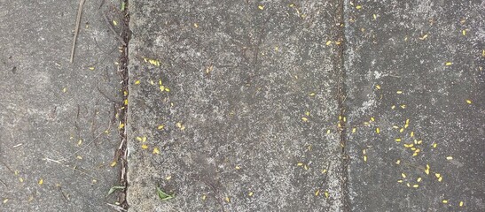 Grungy Concrete Surface with Scattered Yellow Petals
