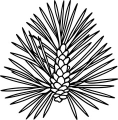 Pinecone with pine needles outline drawing simple botanical illustration, nature plant element, black and white