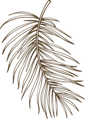 Obraz premium Single brown feather sketch hand drawn delicate nature design, minimalistic isolated botanical element