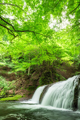 waterfall in the green forest
