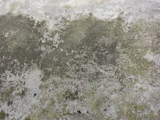 Top Down Weathered Concrete Surface with Moss Algae
