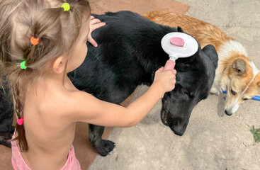 Child brushing a dog outdoors on a sunny day. Concept of care, grooming, responsibility, and bonding with pets. Natural light, real-life moment