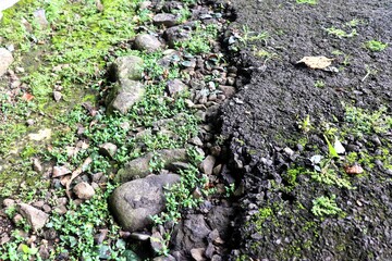 A close-up pothholes in the asphalt road. A damaged road in the countryside that needs repair. The texture of the road is destroyed, sandy, rocky, and covered with green moss.