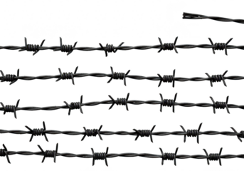 Multiple strands of sharp barbed wire are stretched out horizontally against a transparent background