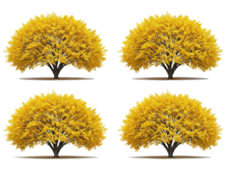 Four identical golden yellow trees with full foliage arranged in a grid isolated on transparent background