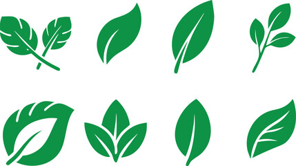 Botanical leaf vector icon collection, Leaves of trees and plants. Leaves icon. Collection green leaf