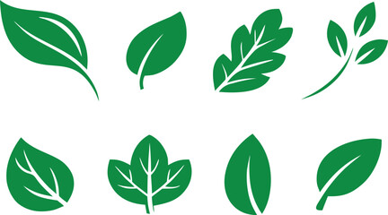 Green leaf vector icon set, Green color. Leafs green color icon logo. Leaves on white background. Ecology