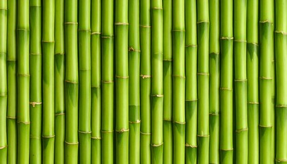 Obraz premium Close-up view of vibrant green bamboo stalks