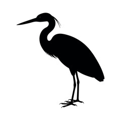 Obraz premium Elegant heron with long beak standing still Line Art Vector illustration