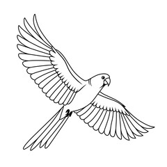 Line art of a lovebird flying with wings wide open above the clouds, perfect for coloring books, bird lovers, and educational nature materials.