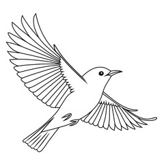 Simple line art of a flying Pleci bird (Oriental White-Eye) with wings spread wide, perfect for coloring pages or bird-themed educational content.