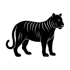 Obraz premium Tiger standing strong with focused gaze Line Art Vector illustration