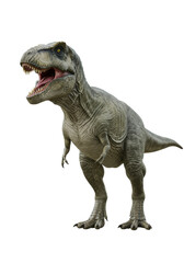 A large, adult tyrannosaurus rex with pale greenish-grey skin, dark stripes, standing upright aggressively, mouth open, sharp teeth, slightly high-angle on a stark white, shadowless studio