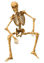 3D Rendering Human Skeleton on White