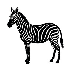 Obraz premium Zebra with bold stripes standing tall Line Art Vector illustration