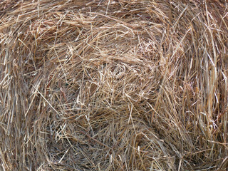Hay close up natural background