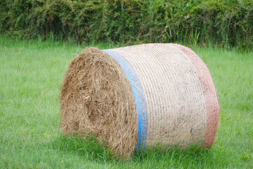 Round wrapped hay bales on a lush green field, surrounded by tall grass and blooming wildflowers. A peaceful rural scene representing agriculture, harvest, and countryside tranquility