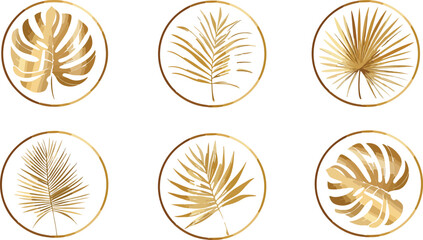 Elegant Golden Tropical Leaves in Circles on White Background for Design