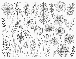 Doodle ink floral sketch set, vector flower brushstroke collection, hand drawn organic icon kit. Abstract naive botanical outline modern spring decoration design element. Doodle floral texture clipart