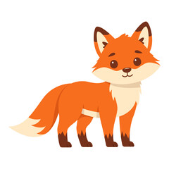 Red fox isolated on white background