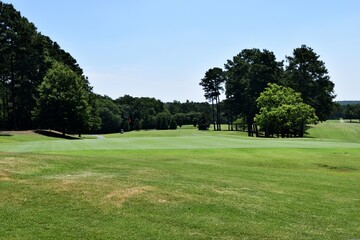golf course in the summer
