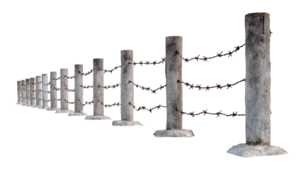 Barbed Wire Fence Wooden Posts Winter Scene