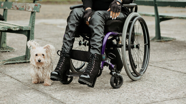Person in wheelchair with small dog nearby, symbolizing companionship and accessibility outdoors - Powered by Adobe