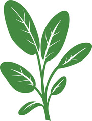 Medicinal Plant Vector