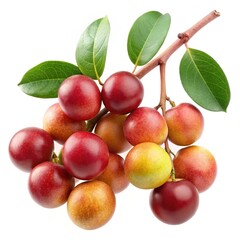 A pile of delicious and freshly picked aronia berries on a plate