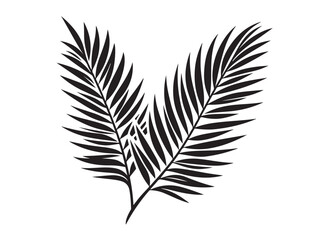 palm leaf logo silhouette vector, tropical palm leaf silhouette vector illustration, palm tree leaf black silhouette, simple black silhouette palm leaf logo silhouettes vector on a white background