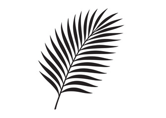 Fototapeta premium palm leaf logo silhouette vector, tropical palm leaf silhouette vector illustration, palm tree leaf black silhouette, simple black silhouette palm leaf logo silhouettes vector on a white background
