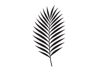 Fototapeta premium palm leaf logo silhouette vector, tropical palm leaf silhouette vector illustration, palm tree leaf black silhouette, simple black silhouette palm leaf logo silhouettes vector on a white background