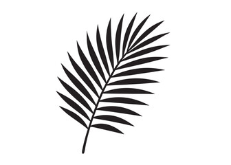 Fototapeta premium palm leaf logo silhouette vector, tropical palm leaf silhouette vector illustration, palm tree leaf black silhouette, simple black silhouette palm leaf logo silhouettes vector on a white background