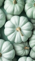 Pumpkin green vegetable botanical farm harvesting, pattern vertical background