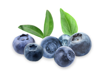fresh blueberries with green leaves on transparent background