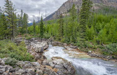 Obraz premium Vermilion River in the Rocky Mountains of Kootenay National Park, British Columbia, Canada