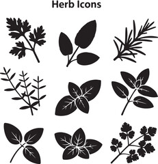 Black silhouette herb icons parsley basil