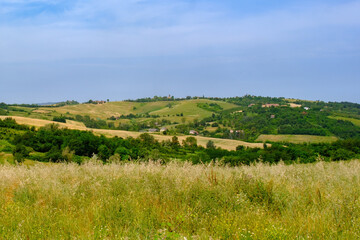 Obraz premium Rural landscape near Casale Monferrato and Ozzano, Alessandria province, Italy