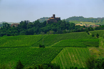 Fototapeta premium Rural landscape near Casale Monferrato and Ozzano, Alessandria province, Italy