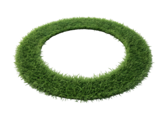 Green grass ring shape isolated on transparent background