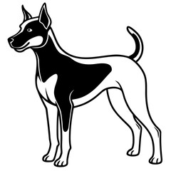 black and white dog
