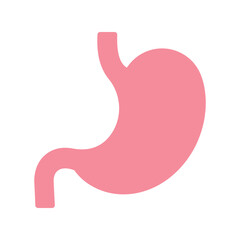 Human Stomach Organ: Digestive System Anatomy Pink Vector Illustration