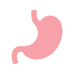 Human Stomach Organ: Digestive System Anatomy Pink Vector Illustration