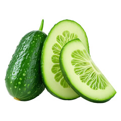  Fresh Cucumber Slice